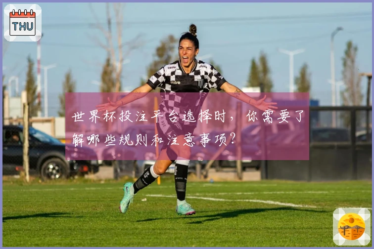 世界杯投注平台选择时，你需要了解哪些规则和注意事项？