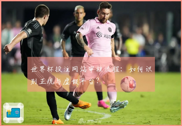 世界杯投注网站审核流程：如何识别正规与虚假平台？