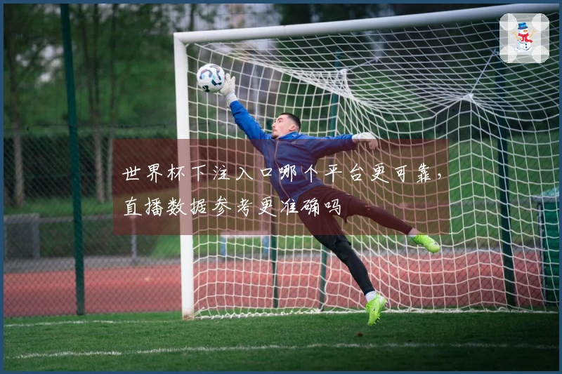 世界杯下注入口哪个平台更可靠，直播数据参考更准确吗