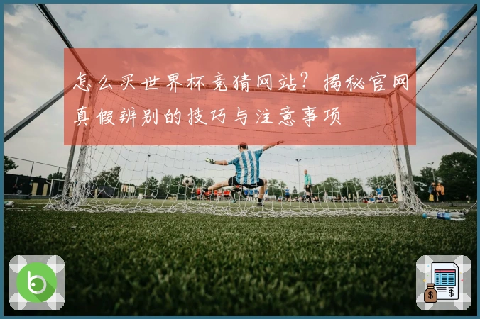 怎么买世界杯竞猜网站？揭秘官网真假辨别的技巧与注意事项