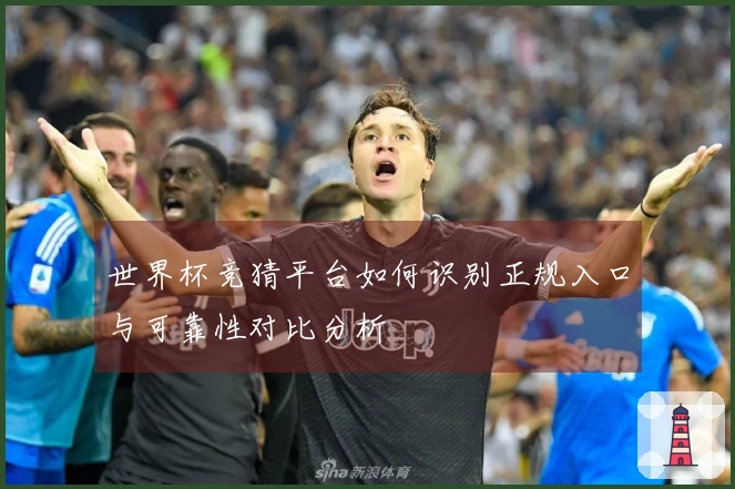 世界杯竞猜平台如何识别正规入口与可靠性对比分析