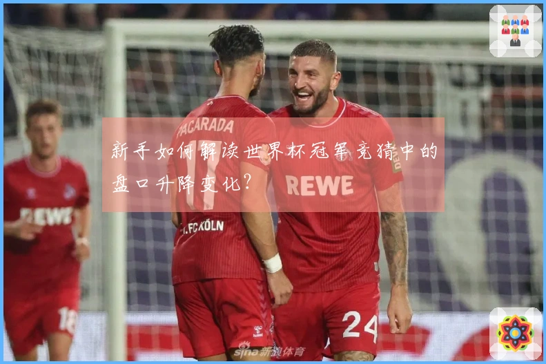 新手如何解读世界杯冠军竞猜中的盘口升降变化？
