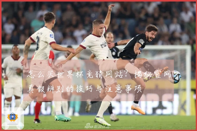 怎么买世界杯竞猜网站？揭秘官网真假辨别的技巧与注意事项