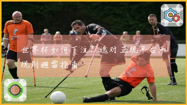 世界杯如何下注？选对正规平台和规则避雷指南