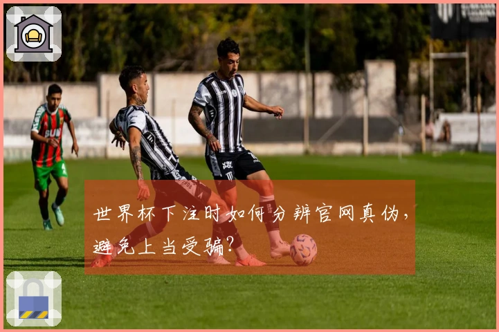 世界杯下注时如何分辨官网真伪，避免上当受骗？