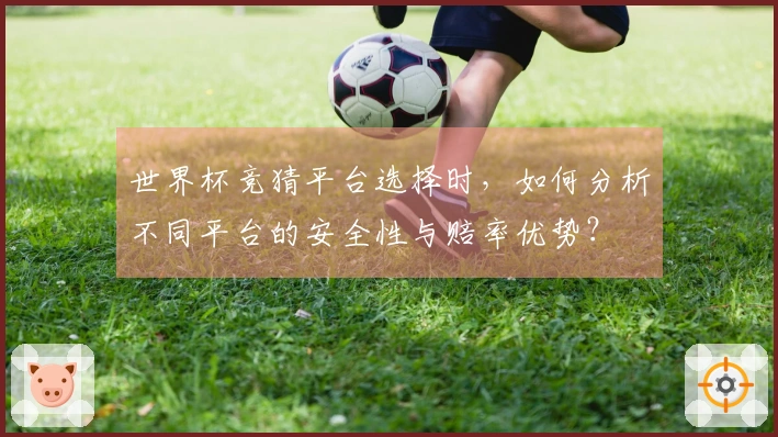 世界杯竞猜平台选择时，如何分析不同平台的安全性与赔率优势？