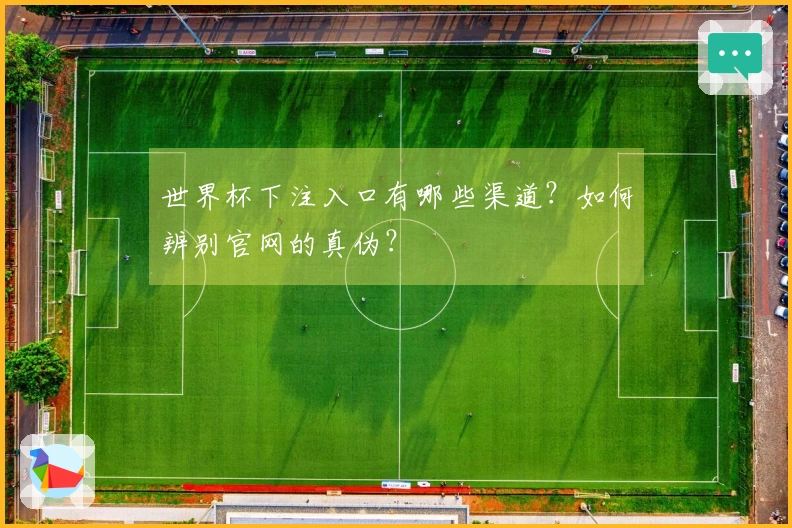 世界杯下注入口有哪些渠道？如何辨别官网的真伪？