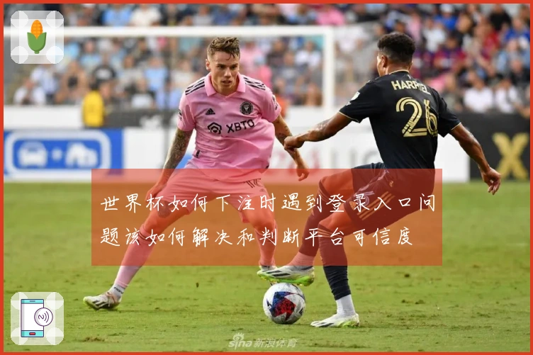 世界杯如何下注时遇到登录入口问题该如何解决和判断平台可信度