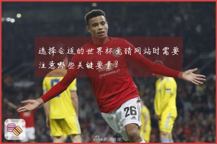 选择合适的世界杯竞猜网站时需要注意哪些关键要素？
