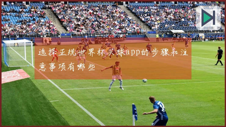 选择正规世界杯买球app的步骤和注意事项有哪些