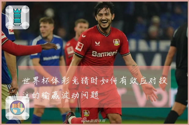 世界杯体彩竞猜时如何有效应对投注的输赢波动问题