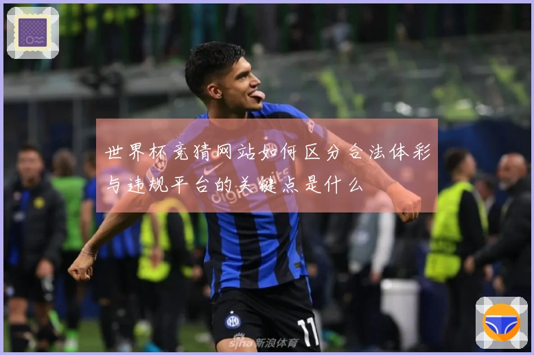 世界杯竞猜网站如何区分合法体彩与违规平台的关键点是什么