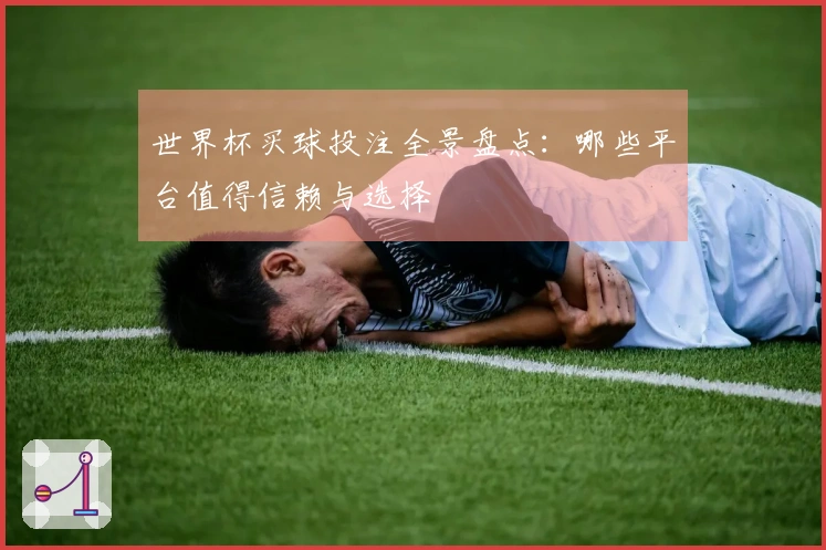 世界杯买球投注全景盘点：哪些平台值得信赖与选择