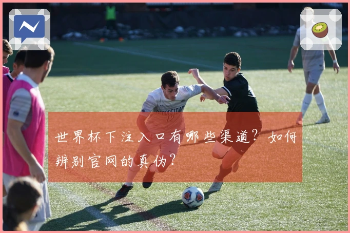 世界杯下注入口有哪些渠道？如何辨别官网的真伪？