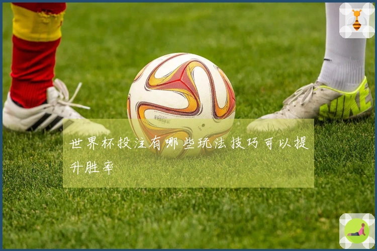 世界杯投注有哪些玩法技巧可以提升胜率