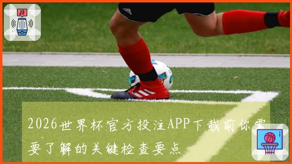 2026世界杯官方投注APP下载前你需要了解的关键检查要点