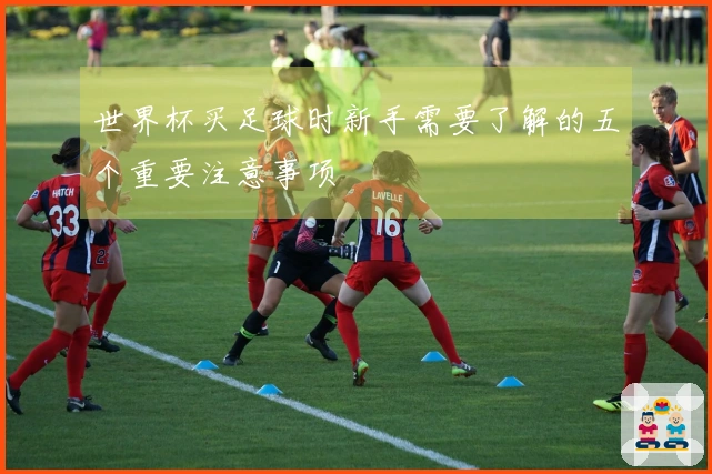 世界杯买足球时新手需要了解的五个重要注意事项