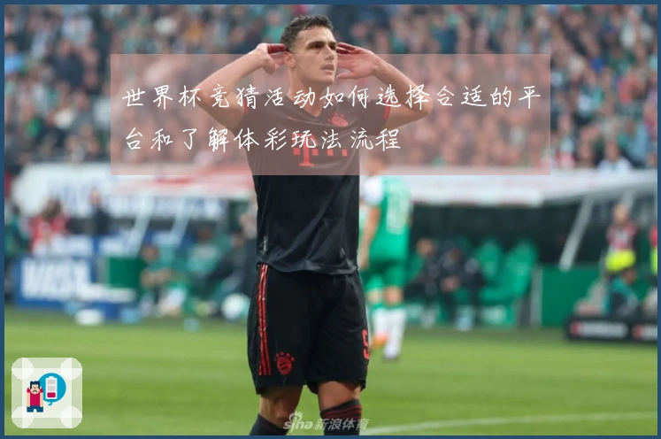 世界杯竞猜活动如何选择合适的平台和了解体彩玩法流程