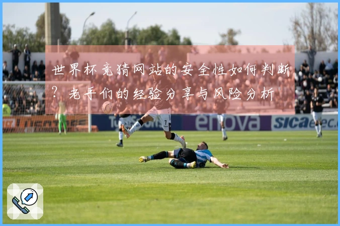 世界杯竞猜网站的安全性如何判断？老手们的经验分享与风险分析