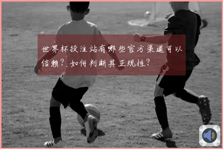 世界杯投注站有哪些官方渠道可以信赖？如何判断其正规性？