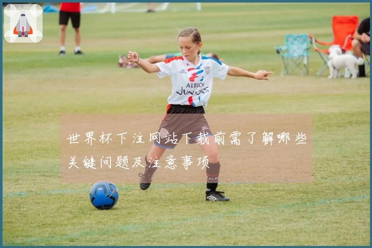 世界杯下注网站下载前需了解哪些关键问题及注意事项